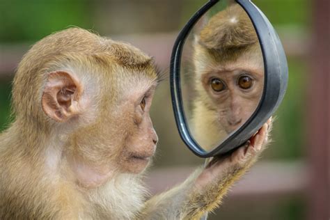 Lost In Translation: Funny Arabic Sayings For Beginners.